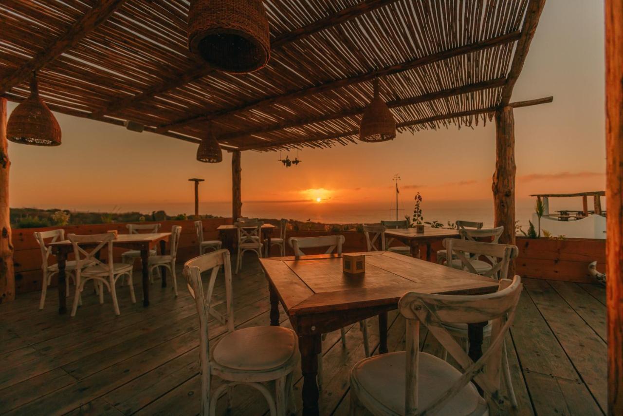 فندق Nest Baja San José del Cabo المظهر الخارجي الصورة