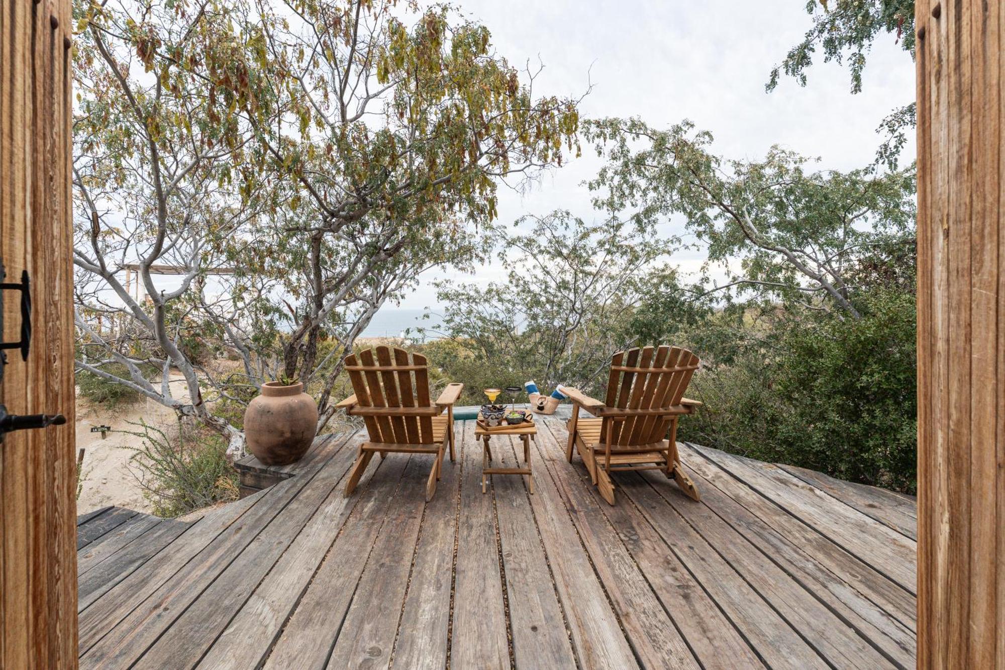 فندق Nest Baja San José del Cabo المظهر الخارجي الصورة
