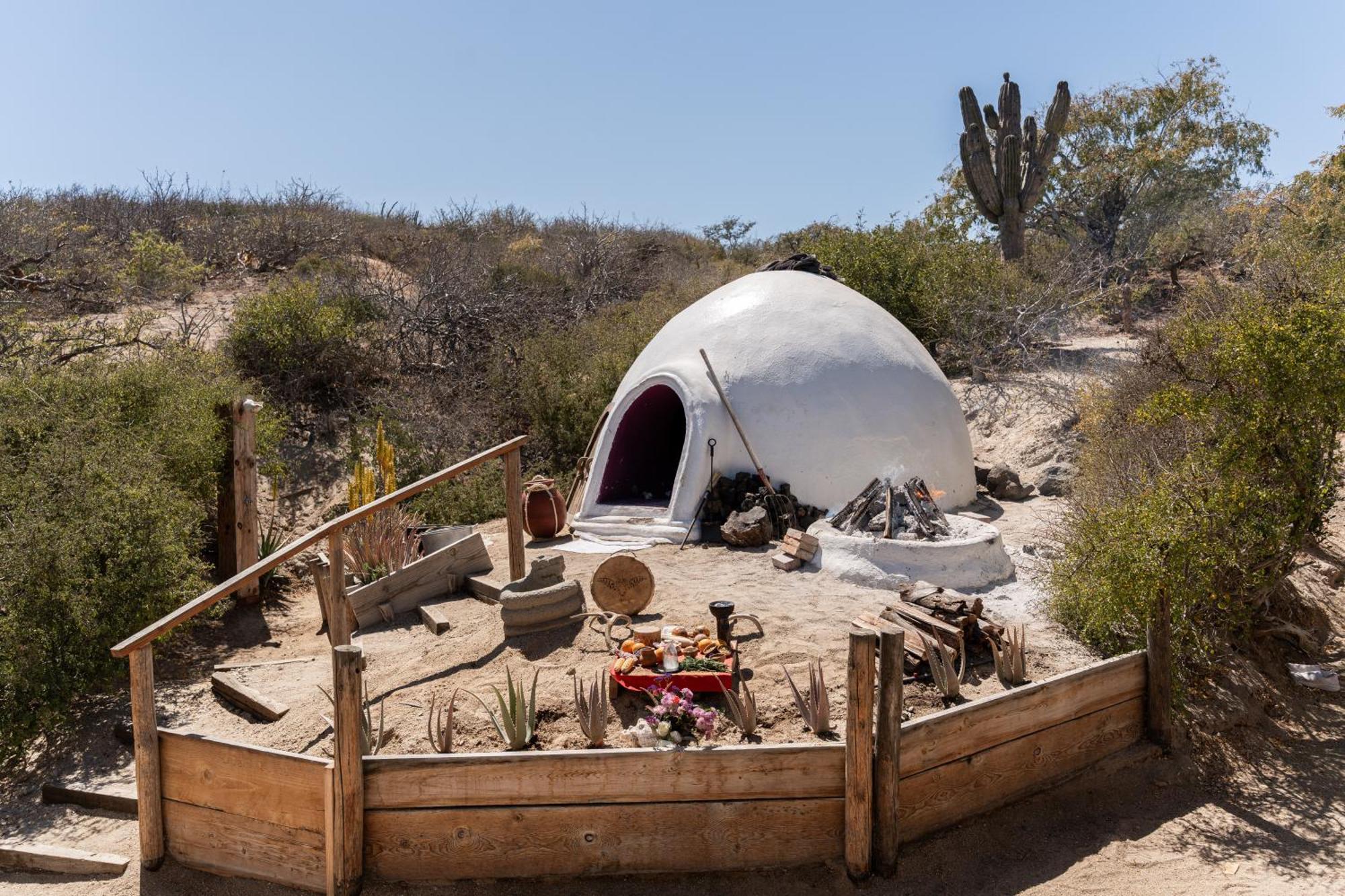 فندق Nest Baja San José del Cabo المظهر الخارجي الصورة